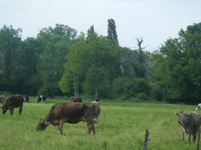 MARQUE Josette et David