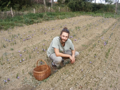 Safran du Val d'Adour