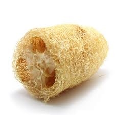 e - EPONGE COURGE LUFFA