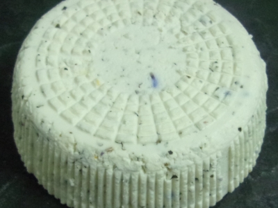 Aubier - palet de chèvre frais au lait cru (AB) - aux feuilles d'arbres et pétales de fleurs