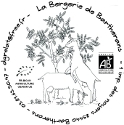 Cabra'zella - chèvre frais façon mozarelle/feta - rondin de 100g min (AB)