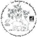 Charbonnette - bûche de chèvre cendrée au lait cru (AB) - DEMI-SECHE