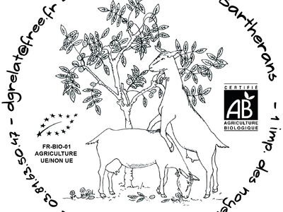 Chevrotine - tomme de chèvre type chevrotin (demi-affinée) - 1/4 de tomme (AB)