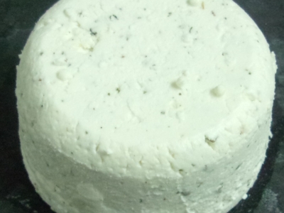 Fleur de chèvre - dôme de chèvre frais au lait cru (AB) - à l'origan