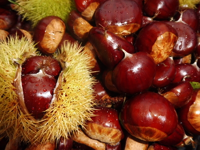 APERO TCHÂT'' LATINO