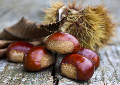 Châtaignes SARDONNE AOC ARDECHE : A transformer  ou A griller (Au four :20mn à 25mn à 200°C + 1 bol d'eau )