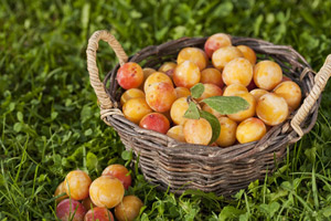 Confiture Mirabelle / Vin de  Paille (110g)