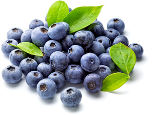 MYRTILLES BLUETS SURGELÉES sachet 500G :Cf IMAGE ET DESCRIPTION