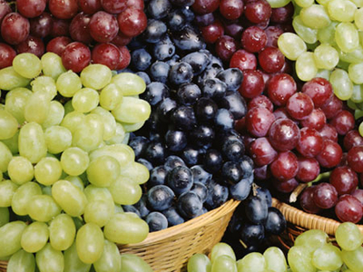 Raisin MUSCAT BLEU GARNIER