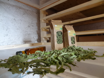 Verveine citronnelle séchée (vrac 2016)