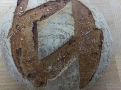 Dauphinois (pain bis aux noix)