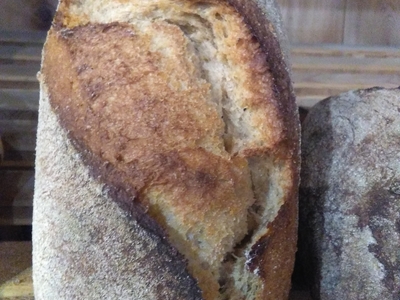 Khorasan – 1,2 kg