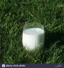 zz- Lait frais entier et cru (bouteille en verre d'un litre)