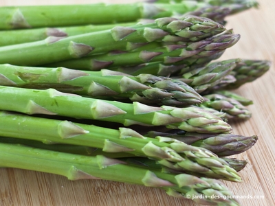 Asperge verte