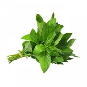 Menthe fraîche