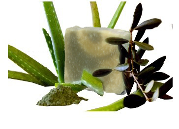 b.Savon Aloe vera argile verte