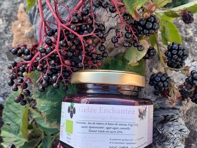Gelée enchantée (mûre sauvage, sureau)