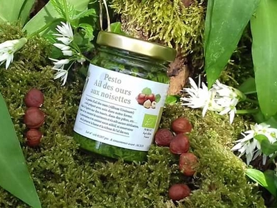 Pesto à l'ail des ours aux noisettes