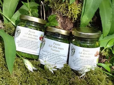 Pesto à l'ail des ours aux noix