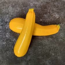 PLANT DE COURGETTE jaune
