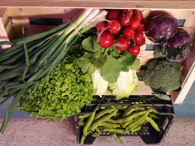 Panier de légumes de saison