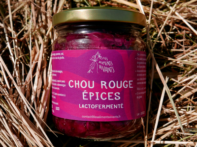 Chou-rouge Epices - lactofermenté 190g