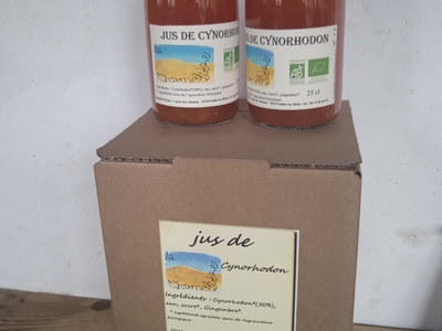 jus de cynorhodon/gingembre (50 % de fruits)