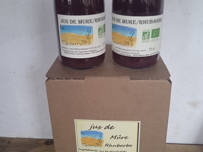 jus de mûre/rhubarbe (52 % de fruits)