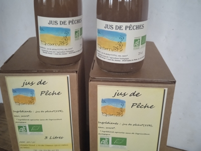 jus de pêches (55 % de fruits)