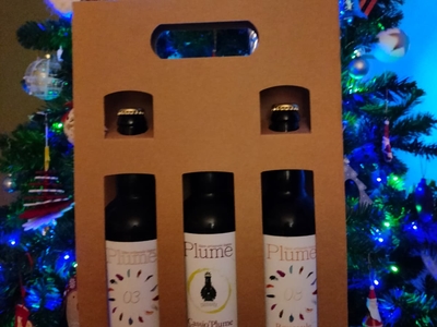 Valisette de 3 bouteilles de 75cl