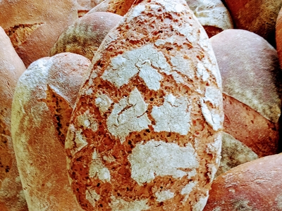 Fournée du mercredi Pain de seigle 500g