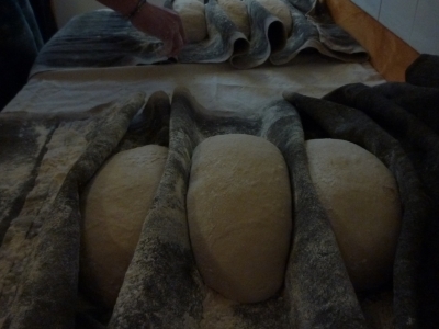 pain de campagne 500g