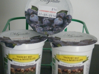 Yaourt biologique au sirop de myrtilles