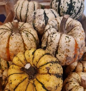 Courge patidou 1kg Simon