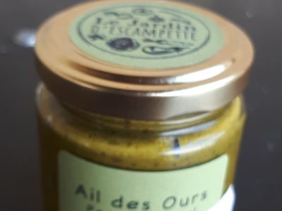 NOUVEAU pesto ail des ours JEscampette
