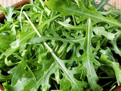 salade roquette 200g JAdour