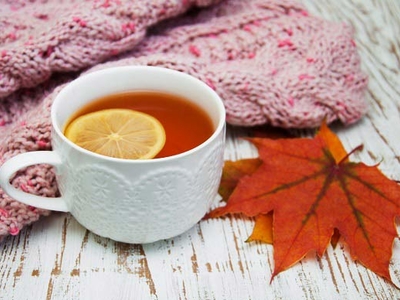 Tisane hiver 30g