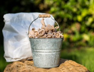 VRAC épicerie : PATES blé poulard les 500g 65 cizos