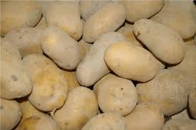 Pommes de terre "chair ferme"