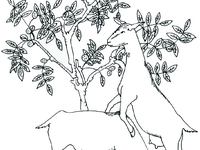 Chevrotine - tomme de chèvre affinée au lait cru - part de 250g (AB)