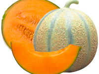 SORBET PLEIN FRUITS MELON