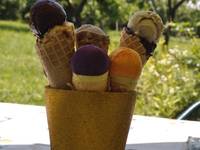 Sorbet CHOCOLAT 1L