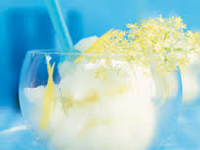 Sorbet PLEIN FRUIT Citron 1L
