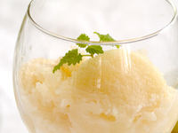 Sorbet Poire (Curé et Willaim) 1L