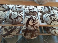 L'Engrain (miche petit épeautre) (fournée du mardi)