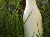 zz- Lait frais cru/ entier (bouteille en verre 1 Litre)