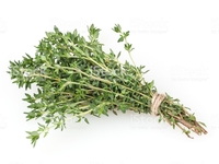 Bouquet de thym