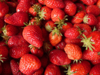 fraises gariguettes/mamie en mélange 250gr