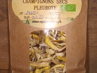 Pleurote Gris sec 40g