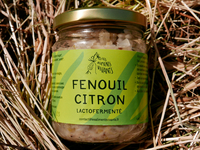 Fenouil Citron - lactofermentés 190g